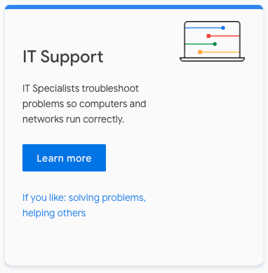 Google Data Analytics Professional Certificate